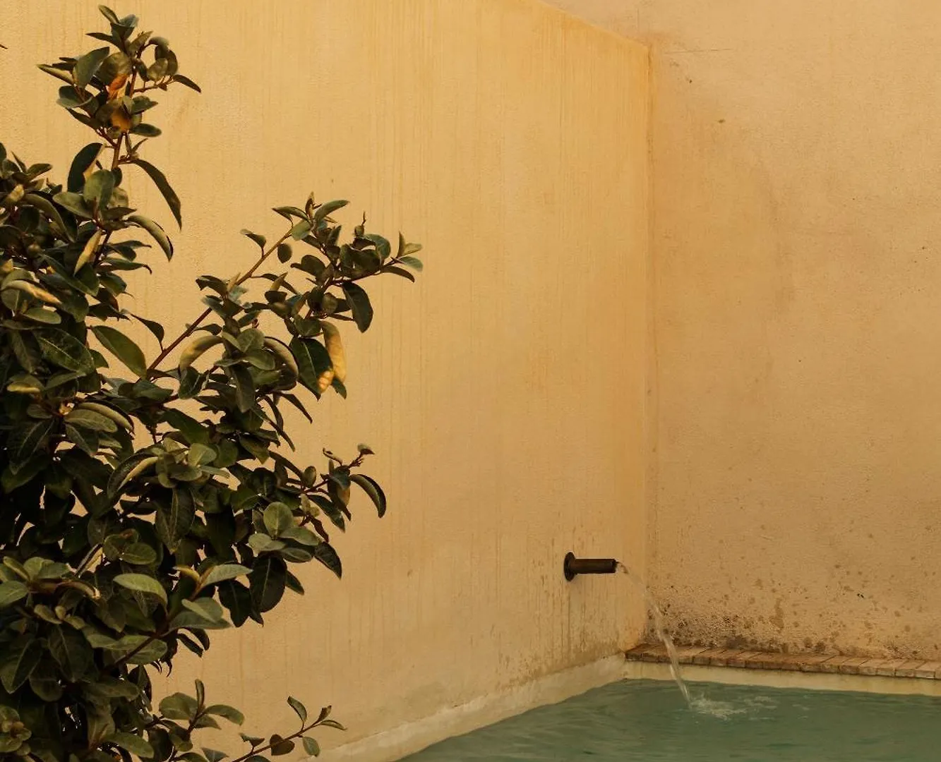 Boscos Apartments Sevilla
